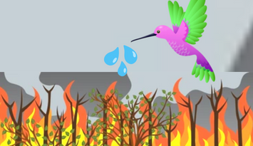 O beija-flor e o incêndio na floresta