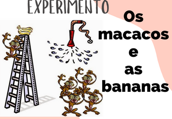 O experimento dos macacos e as bananas