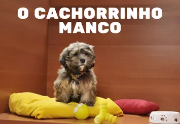 o-cachorrinho-manco