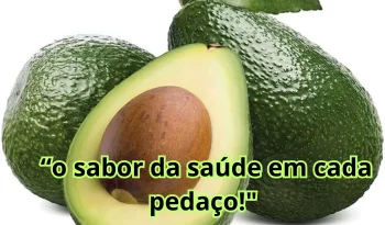 Abacate-o-sabor-da-saúde-em-cada-pedaço_