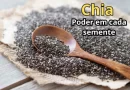 Chia - Poder em cada semente