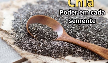Chia - Poder em cada semente
