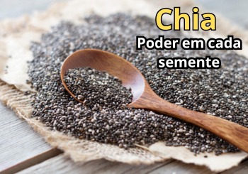 Chia - Poder em cada semente