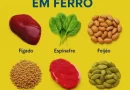6 alimentos ricos em ferro