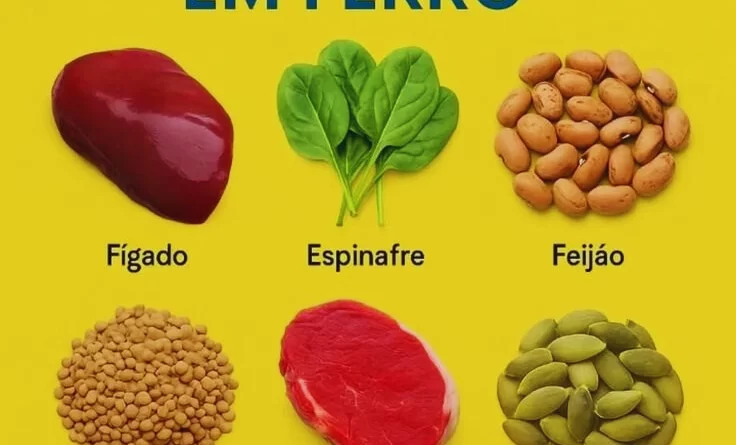 6 alimentos ricos em ferro