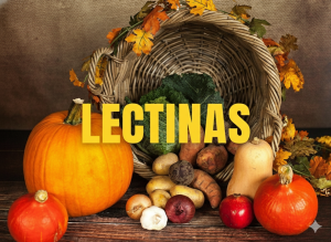 Lectinas causam inflamação - O que a ciência diz sobre dor inchaço e imunidade