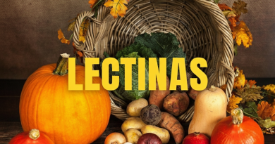 Lectinas causam inflamação - O que a ciência diz sobre dor inchaço e imunidade