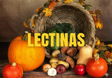 Lectinas causam inflamação - O que a ciência diz sobre dor inchaço e imunidade