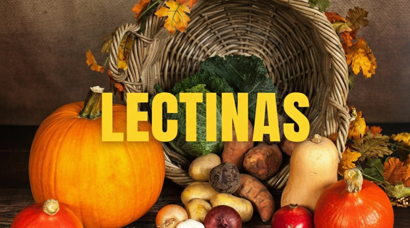 Lectinas causam inflamação - O que a ciência diz sobre dor inchaço e imunidade