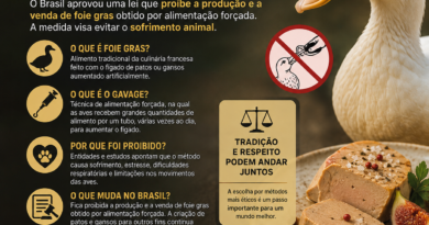 Brasil proíbe foie gras produzido com alimentação forçada