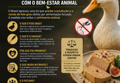 Brasil proíbe foie gras produzido com alimentação forçada