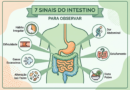 Prisão de ventre, gases, barriga inchada, alterações nas fezes e dificuldade para evacuar estão entre as queixas mais comuns relacionadas ao funcionamento intestinal.