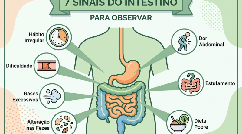 Prisão de ventre, gases, barriga inchada, alterações nas fezes e dificuldade para evacuar estão entre as queixas mais comuns relacionadas ao funcionamento intestinal.